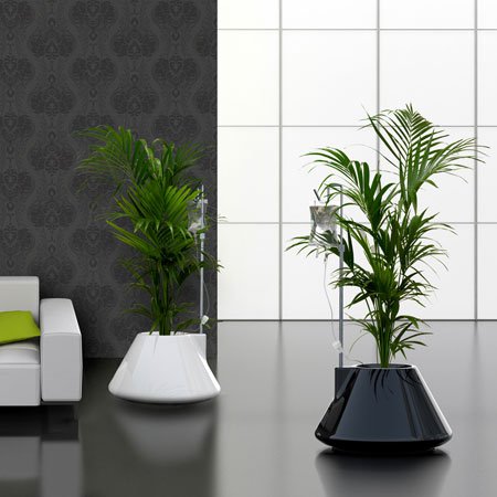 decoracion-de-oficina-con-plantas-naturales2